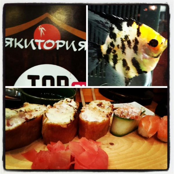 Ресторанный сервис бронирования столиков menu-rest.com - Интерьер ресторана "Якитория"